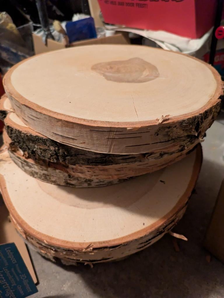 Boomschijven / boomstamschijven te koop, Ophalen, Zo goed als nieuw, Hout, Overige typen