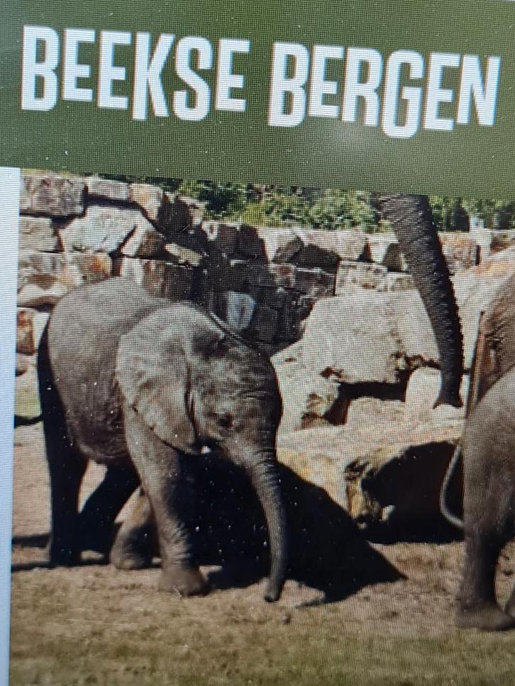 Safaripark beekse bergen e-tickets al op datum, Tickets en Kaartjes, Recreatie | Dierentuinen, Drie personen of meer, Ticket of Toegangskaart