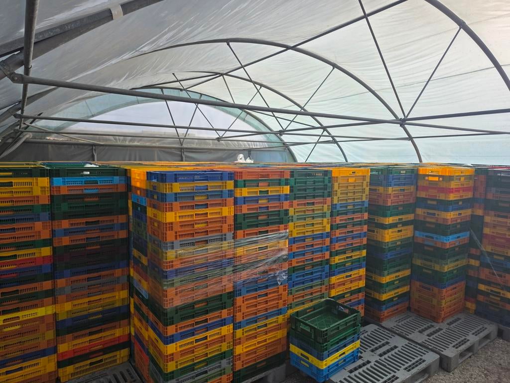 Diverse kratten, 40 tot 60 cm, 50 tot 75 cm, Minder dan 35 cm, Ophalen of Verzenden