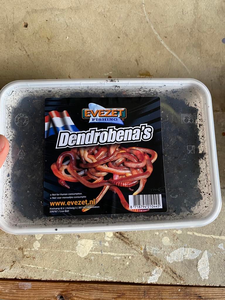 NIEUW Evezet Bamibak Wormen (goed gevuld), Overige typen, Nieuw, S, H