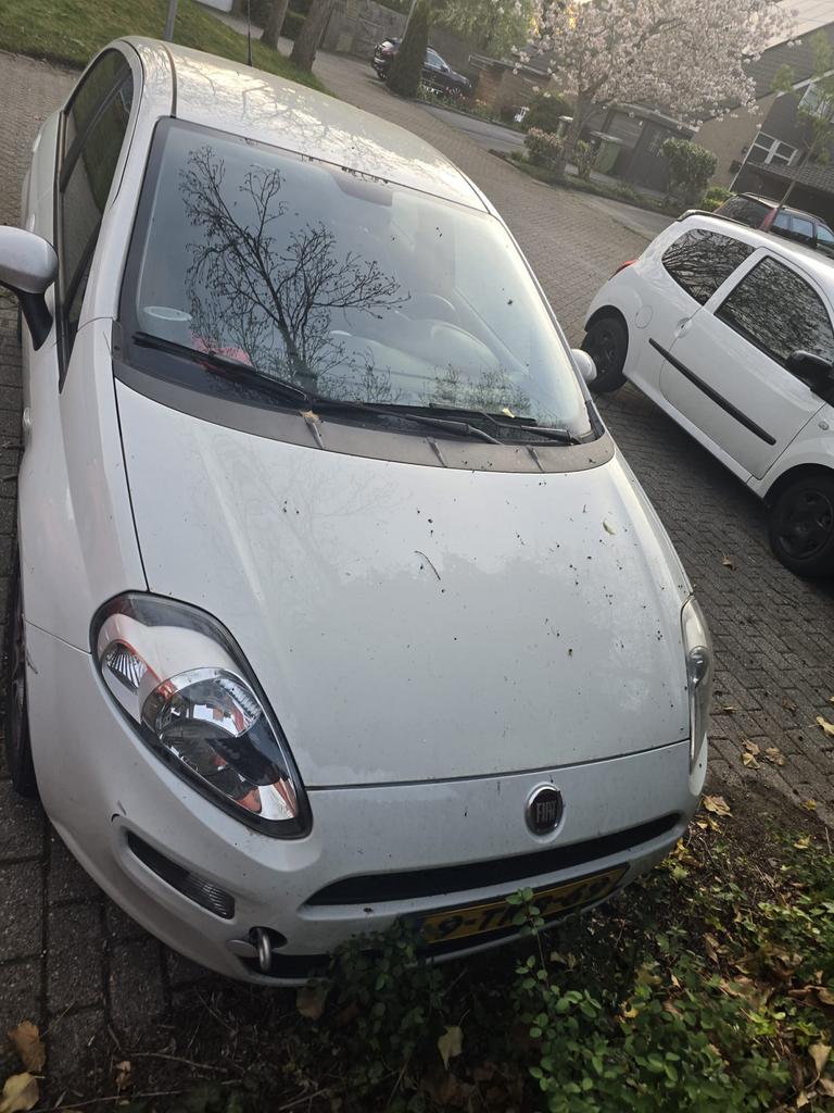 Fiat Punto 0.9 Twinair 85 5-D 2014 Wit lees tekst, Auto's, Fiat, Voorwielaandrijving, Origineel Nederlands, 24 km/l, Handgeschakeld