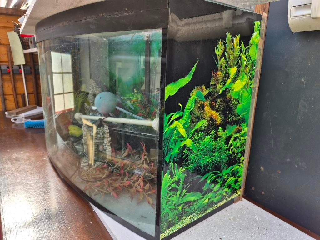 Aqaurium, Dieren en Toebehoren, Vissen | Aquaria en Toebehoren, Ophalen, Zo goed als nieuw, Leeg aquarium