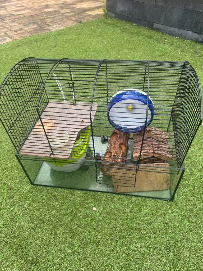 Hmaster kooi, Kooi, Minder dan 75 cm, Zo goed als nieuw, Hamster