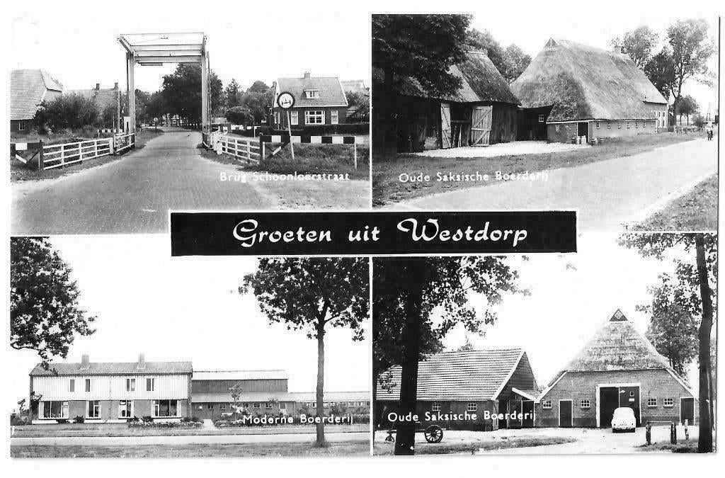 AK Westdorp - Groeten uit...Boerderijen, Verzenden, 1960 tot 1980, Ongelopen, Drenthe