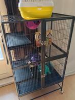 Rattenkooi in zeer goede staat, Ophalen, Zo goed als nieuw