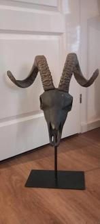 Grote 50cm Ram Skull Beeld♥️SALE VERKOOP♥️, Verzamelen, Beelden en Beeldjes, Ophalen of Verzenden, Nieuw, Dier