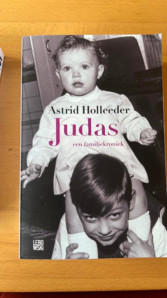Astrid Holleeder - Judas, Boeken, Detectives, Zo goed als nieuw, Ophalen of Verzenden
