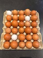 Verse eieren van eigen kippen, Ophalen