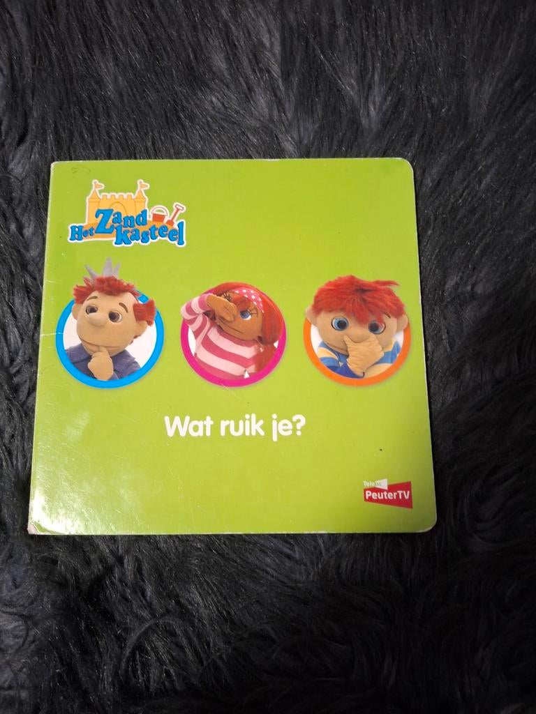 Het Zandkasteel: Wat ruik je? Peuterboek, Onbekend, Ophalen of Verzenden, Zo goed als nieuw, Uitklap-, Voel- of Ontdekboek