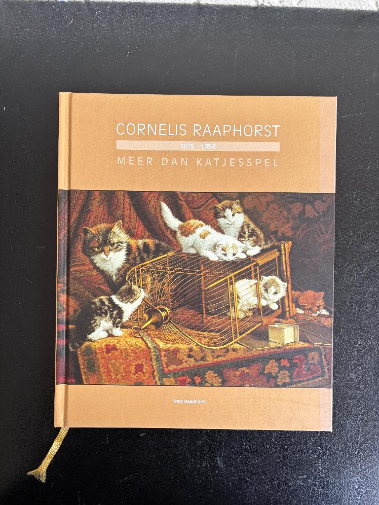 Cornelis Raaphorst, meer dan katjesspel - 2014 - Monografie, Boeken, Kunst en Cultuur | Beeldend, Zo goed als nieuw, Schilder- en Tekenkunst