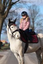 6 jarige d-pony merrie  ,bomproof, Dieren en Toebehoren, Pony's, B, 3 tot 6 jaar, Recreatiepony, D pony (1.37m tot 1.48m)