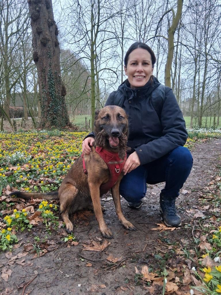 Woonruimte gezocht, omgeving Terborg, vrouw + hond, Huizen en Kamers, Appartement, 1 kamers