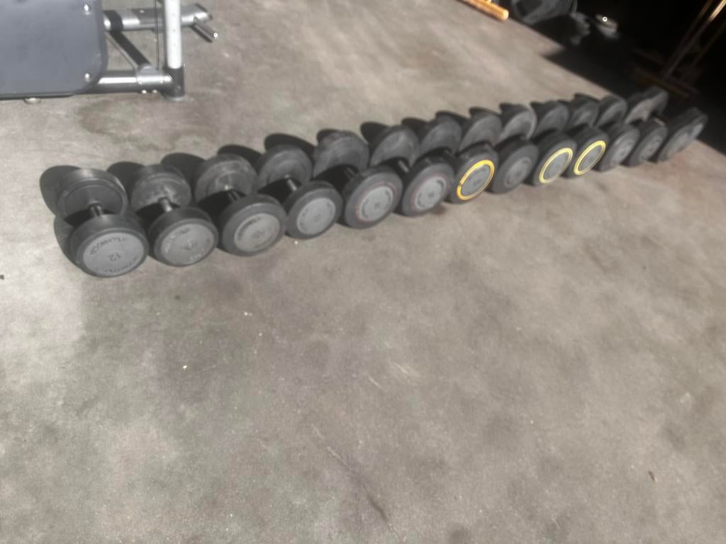 Technogym Dumbells 12kg t/m 40kg, Sport en Fitness, Fitnessmaterialen, Ophalen, Gebruikt, Dumbbell