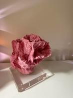 Koraal roze, Ophalen of Verzenden, Nieuw