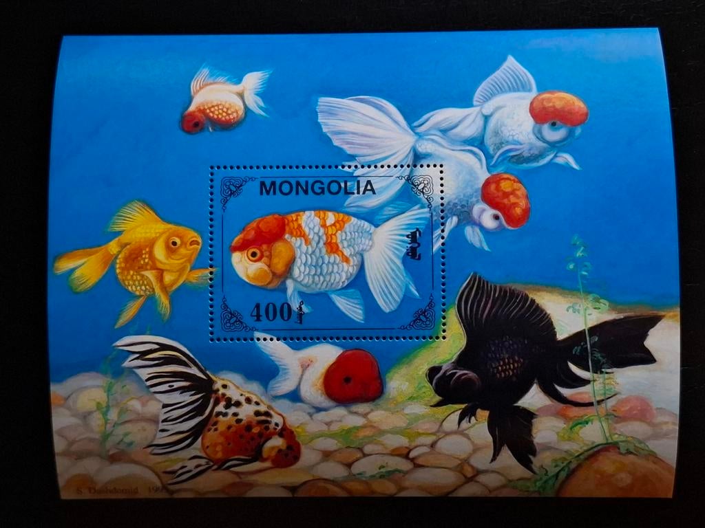 Mongolië 1995 Vissen, Ophalen of Verzenden, Postfris, Oost-Azië