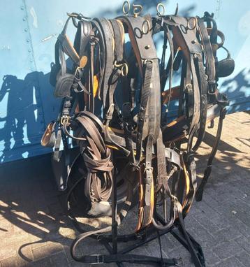 Gebruikt maar heel sterk tweespantuig beschikbaar voor biedingen