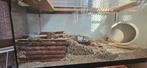 Hamsterscape hamsterhok complete starterset, Gebruikt, Hamster, Hok, 75 tot 110 cm