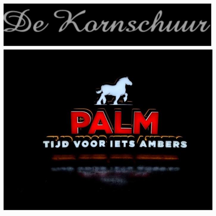 Palm Bier led lamp nieuw in de doos (FH6026), Verzamelen, Biermerken, Nieuw, Reclamebord, Plaat of Schild, Palm, Ophalen of Verzenden