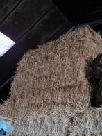 Stro grote pakken stro te koop, Ophalen, Vee