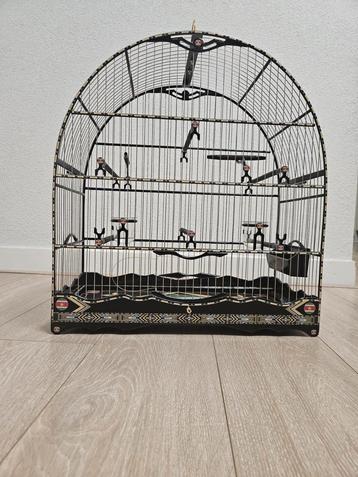 Braziliaanse  Costom Made Twatwa Picolet en meer beschikbaar voor biedingen