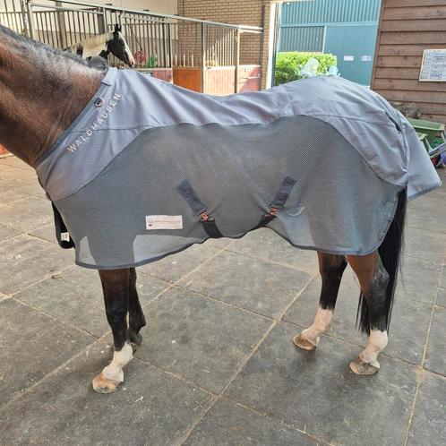 Waldhausen Comfort Regen/Vliegendeken, Dieren en Toebehoren, Paarden en Pony's | Dekens en Dekjes, Zo goed als nieuw, Ophalen of Verzenden