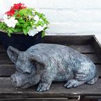 beeld Kune varken, Antiek en Kunst, Kunst | Beelden en Houtsnijwerken, Ophalen of Verzenden