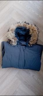 Mooie winterjas van airforce, Kleding | Dames, Jassen | Winter, Ophalen of Verzenden, Zo goed als nieuw, Maat 46/48 (XL) of groter