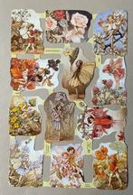 Flower Fairies Poesieplaatjes & Wenskaarten, Ophalen of Verzenden