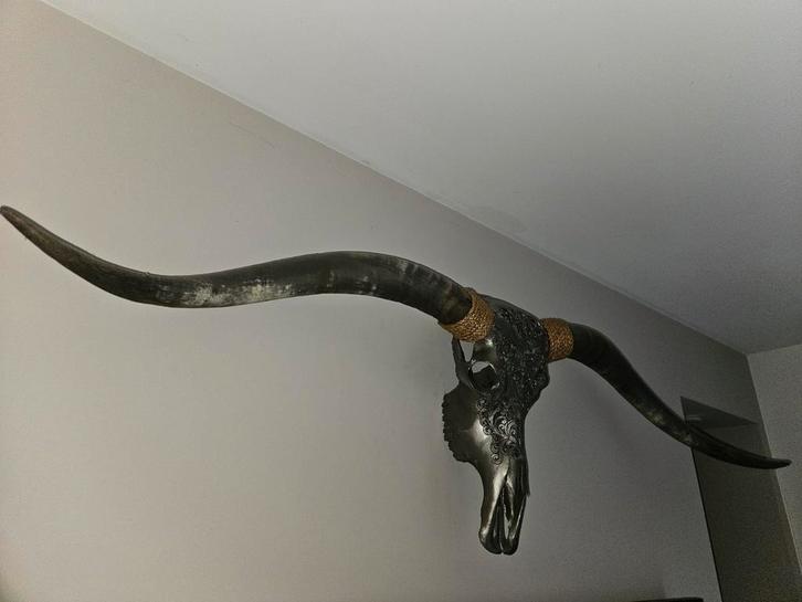Longhorn gegraveerd - 180cm breed, Huis en Inrichting, Woonaccessoires | Wanddecoraties, Gebruikt, Ophalen of Verzenden
