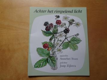 Achter het rimpelend licht beschikbaar voor biedingen