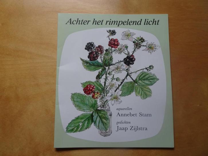 Achter het rimpelend licht, Boeken, Gedichten en Poëzie, Nieuw, Eén auteur, Verzenden