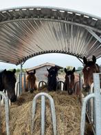 Hooiruif, Voerruif, Ruif, Voeren, Ruiven, Weidegang, Sales@veldomheiningen.nl, Schaijk, 4 paarden of pony's of meer
