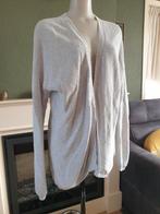Sissy Boy heerlijke licht grijze cardigan vest mt M 38 40, Kleding | Dames, Maat 38/40 (M), Verzenden, Sissy-Boy, Zo goed als nieuw