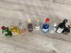 Miniatuur Flesjes sterke drank., Ophalen of Verzenden, Zo goed als nieuw, Overige typen