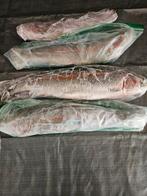 Zalm forel ,vers ingevroren en schoongemaakt zie foto's, Ophalen