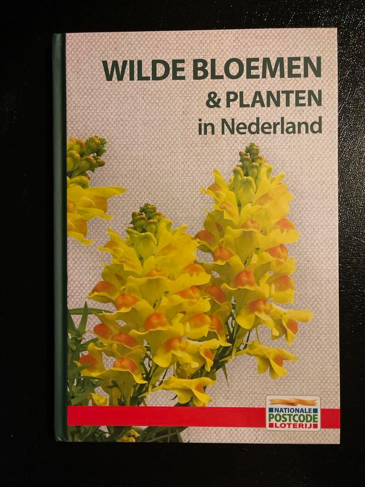 Wilde bloemen & planten Nederland - Neil Fletcher, Boeken, Natuur, Nieuw, Bloemen, Planten en Bomen, Ophalen of Verzenden