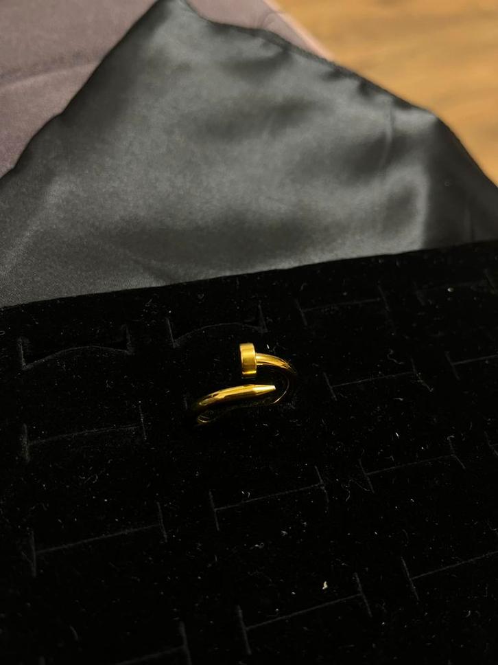 Gouden Ring - Stijlvol en Uniek!, Sieraden, Tassen en Uiterlijk, Ringen, Nieuw, Dame of Heer, 18 tot 19, Goud, IJzer of Staal