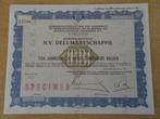 N.V. Deli Maatschappij. Certificaat 10 aandelen elk 100 gld., Ophalen, Aandeel