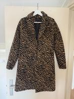 G-maxx (winter) jas, maat xs, Ophalen of Verzenden, Zo goed als nieuw, Maat 34 (XS) of kleiner, Zwart