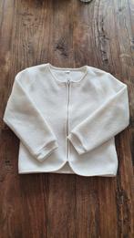 Vest, Ophalen, Gebruikt, Jongen, Trui of Vest