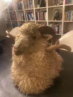 Opgezette ramskop/schaap  om op te hangen, Wild dier, Gewei of Kop, Ophalen of Verzenden, Zo goed als nieuw