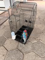 Bird cage, Dieren en Toebehoren, Ophalen, Zo goed als nieuw