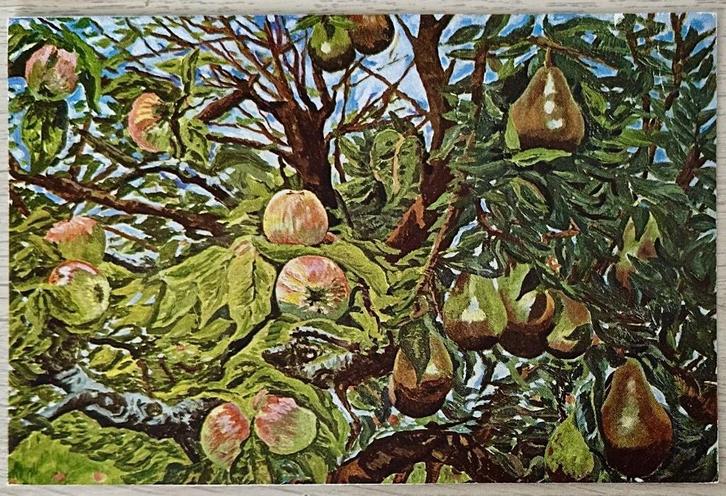 0009B CHARLEY TOOROP ~ vruchten en takken, Verzamelen, Ansichtkaarten | Themakaarten, Ongelopen, 1980 tot heden, Overige thema's