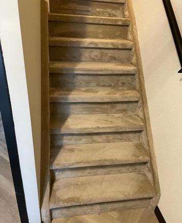 Trap inclussief velvet tapijt en legkosten €650 beschikbaar voor biedingen