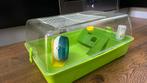 Hamsterkooi, Minder dan 60 cm, Kooi, Minder dan 75 cm, Ophalen of Verzenden