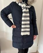 Tommy Hilfiger donzen damesjas maat L, Ophalen of Verzenden, Zo goed als nieuw, Maat 38/40 (M), Blauw