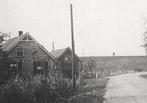 963427 Dodewaard Wely Gld 1948 Groenestraat met dijk Mooi, Verzamelen, Ansichtkaarten | Nederland, Ophalen of Verzenden, 1940 tot 1960