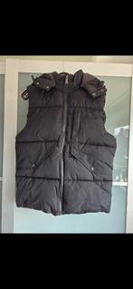 Bodywarmer  Malelions, Ophalen of Verzenden, Nieuw, Maat 38/40 (M)