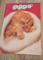 Schattige rode kitten diep in slaap, Verzenden, Ongelopen, Hond of Kat