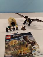 Lego Harry Potter Hungarian Horntail 75946, Kinderen en Baby's, Speelgoed | Duplo en Lego, Ophalen of Verzenden, Gebruikt, Complete set